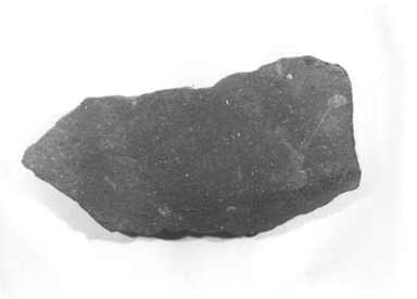 parete carenata